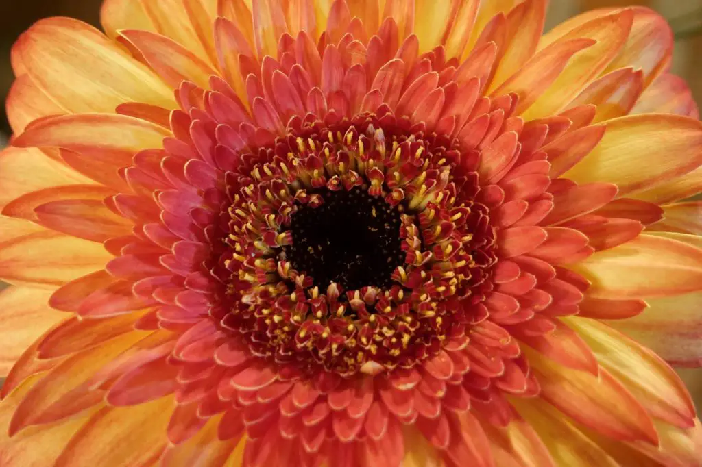 INITIATIVE Synonyms and Related Words. What is Another Word for