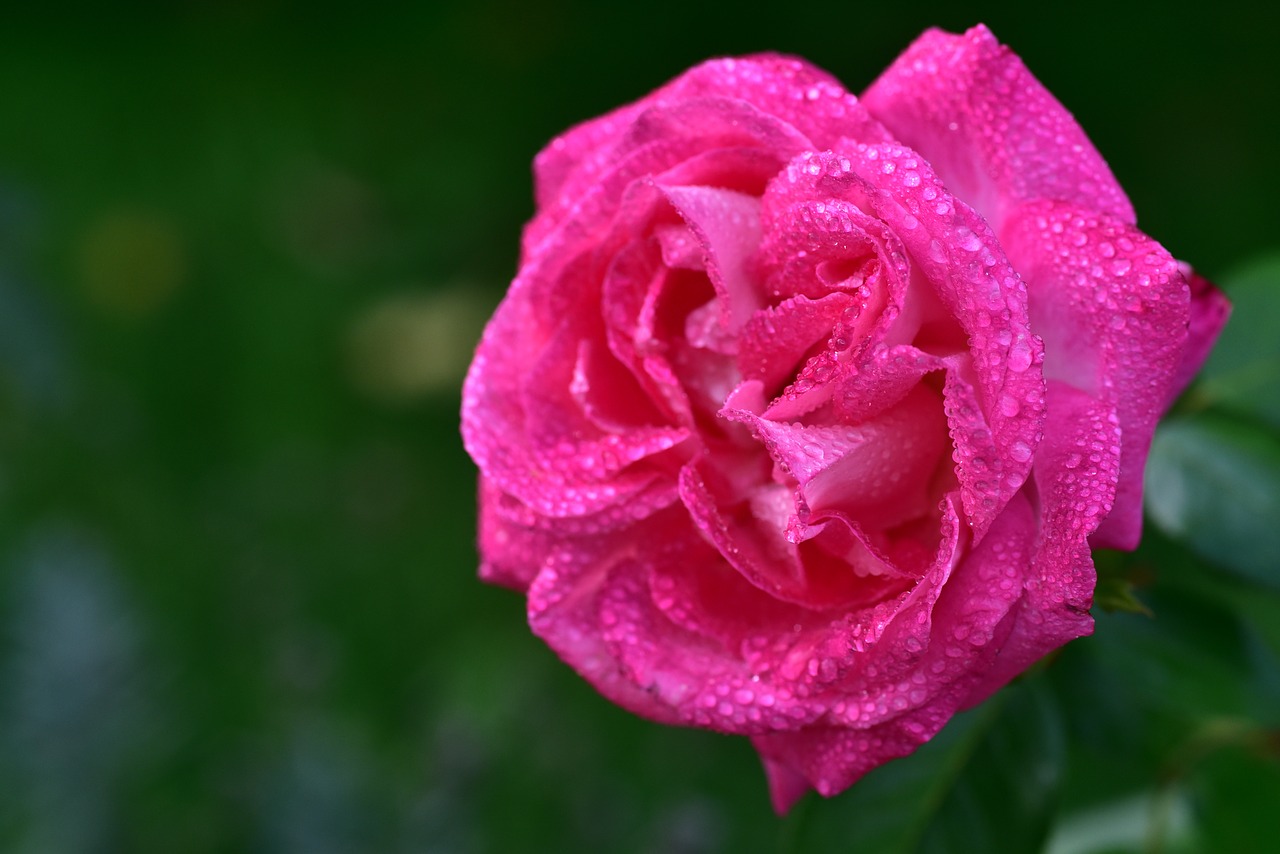 FINALLY: Synonyms and Related Words. What is Another Word for FINALLY ...