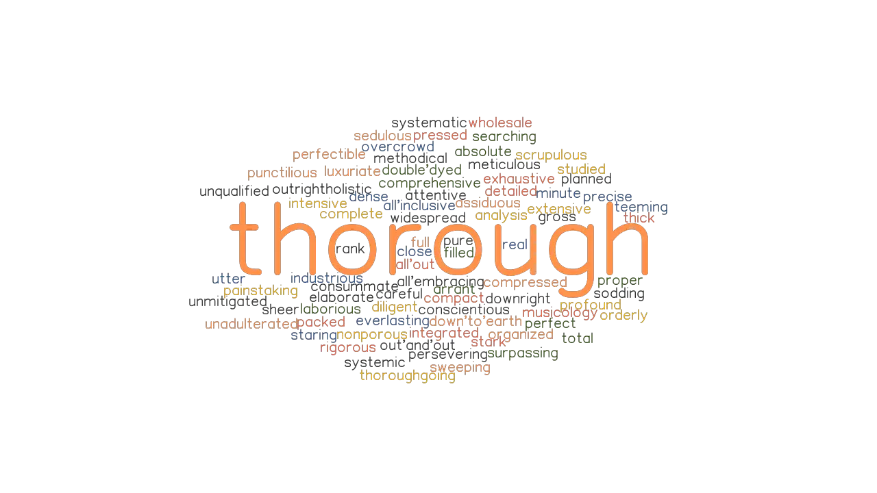 THOROUGH Synonyms And Related Words What Is Another Word For THOROUGH 