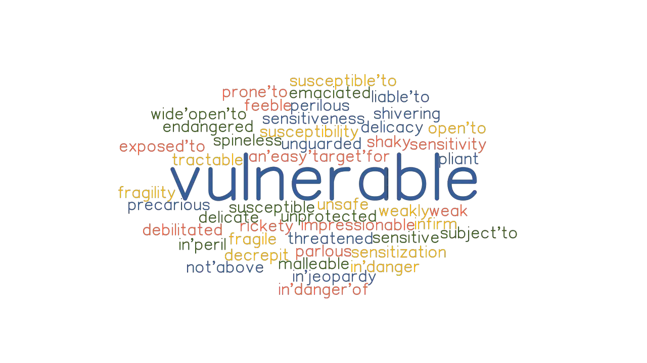 Vulnerable synonyms