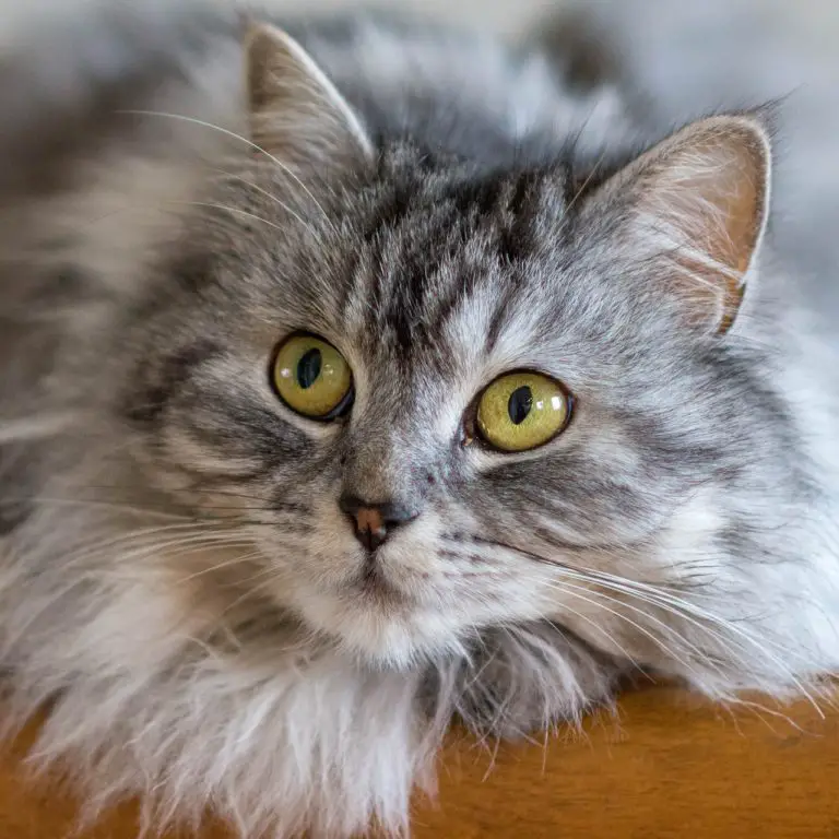 INGEST Synonyms and Related Words. What is Another Word for INGEST