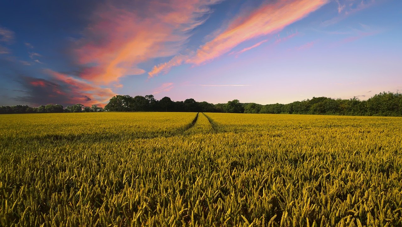 farming-synonyms-and-related-words-what-is-another-word-for-farming