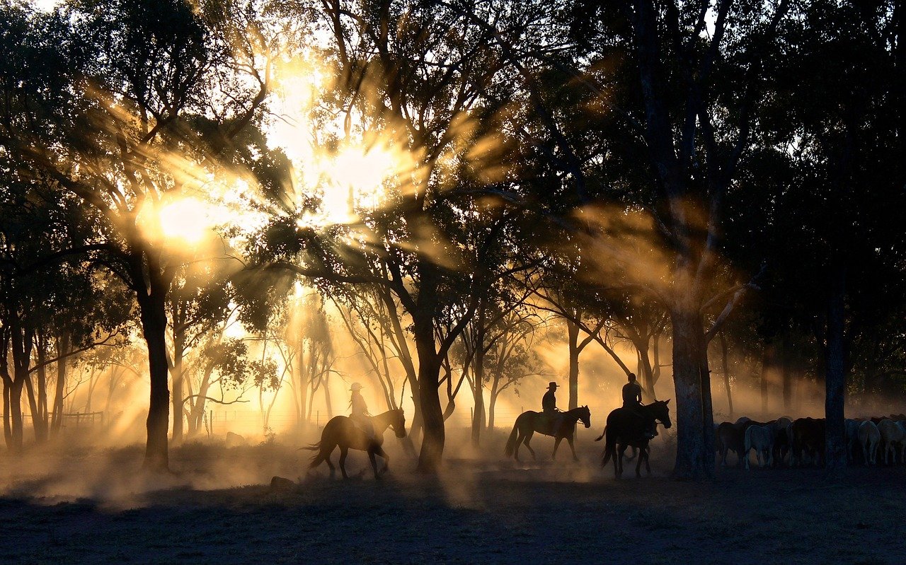 DUSTY Synonyms And Related Words What Is Another Word For DUSTY 