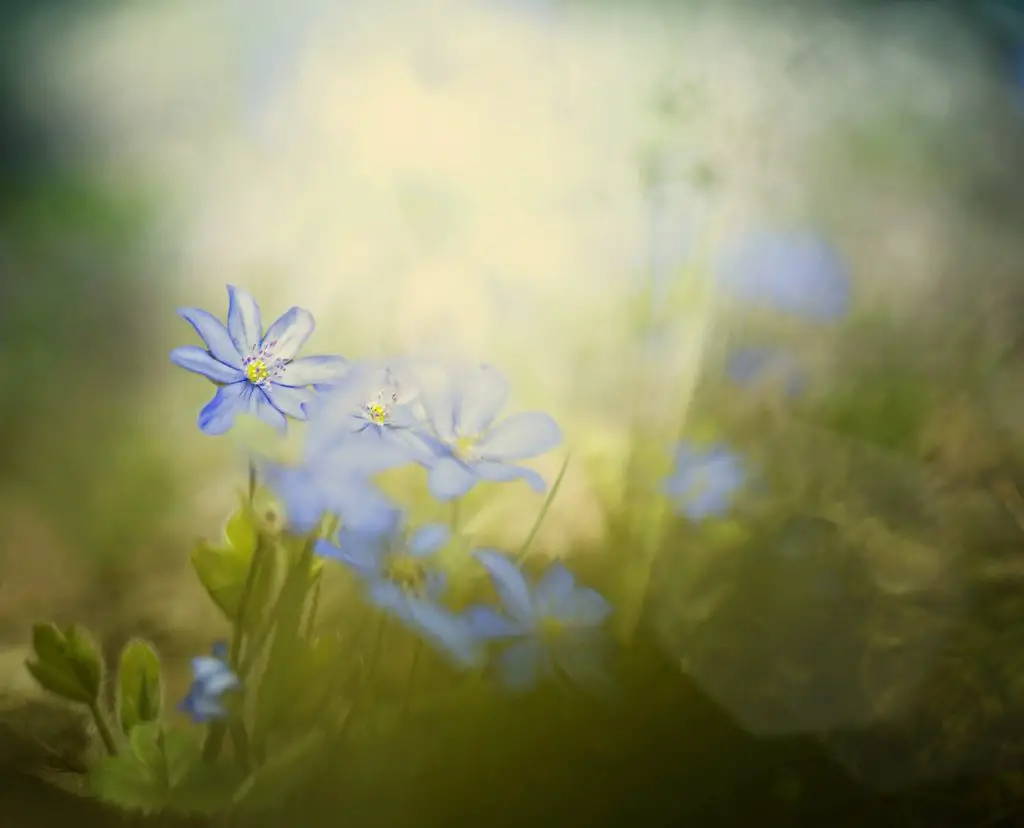 ACCENT Synonyms and Related Words. What is Another Word for ACCENT?