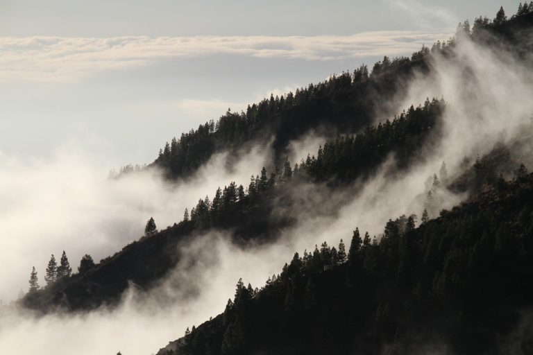 carol-kershner-pighin-early-morning-mist