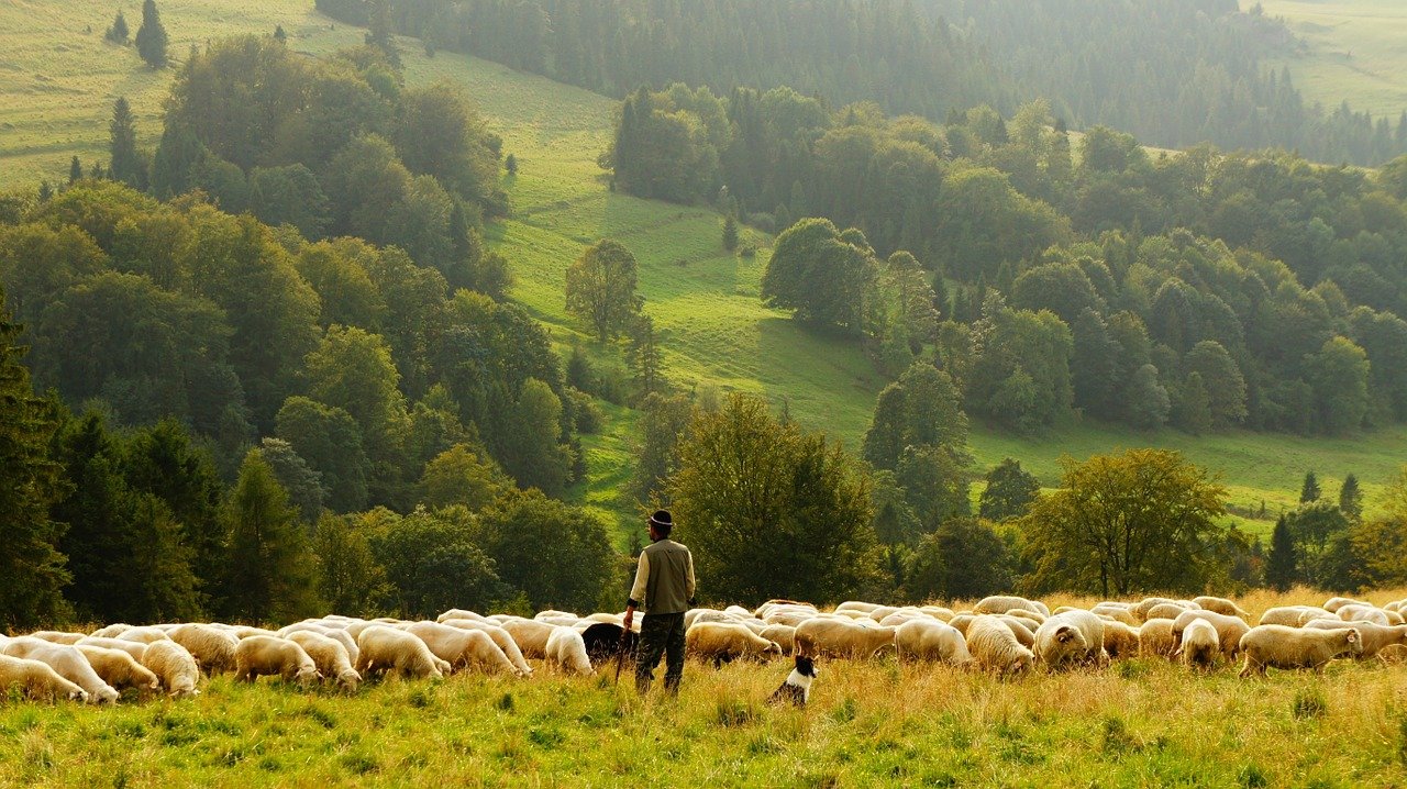 farmer-synonyms-and-related-words-what-is-another-word-for-farmer