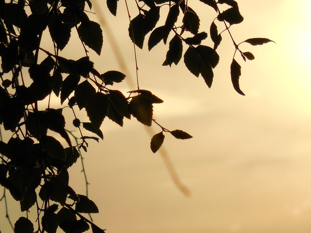 SWAY Synonyms and Related Words. What is Another Word for SWAY