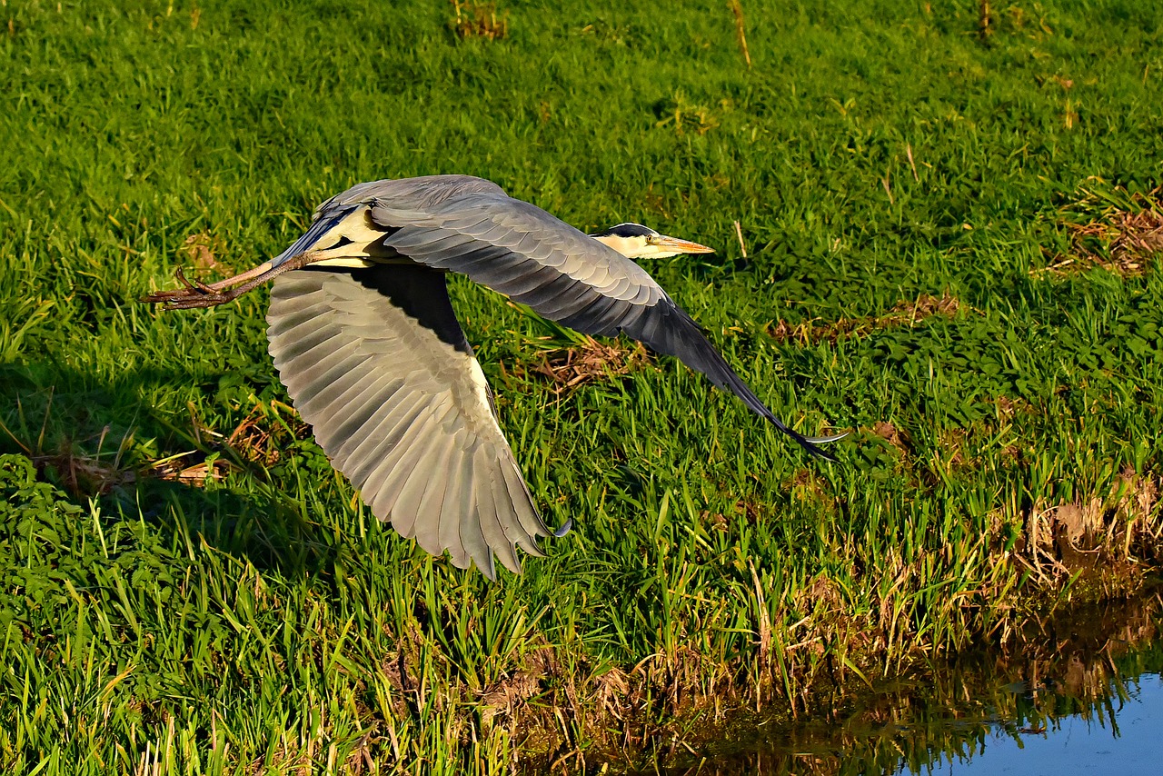 habitat-synonyms-and-related-words-what-is-another-word-for-habitat