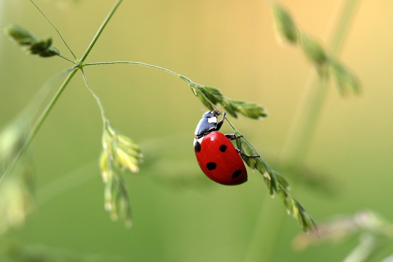 CHARMING Synonyms And Related Words What Is Another Word For CHARMING 