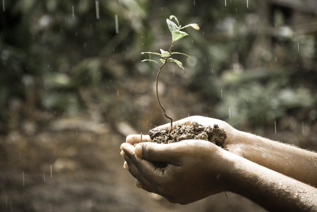 soil-synonyms-and-related-words-what-is-another-word-for-soil