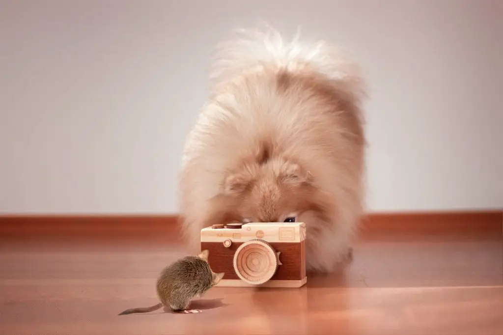 GURU Synonyms and Related Words. What is Another Word for GURU