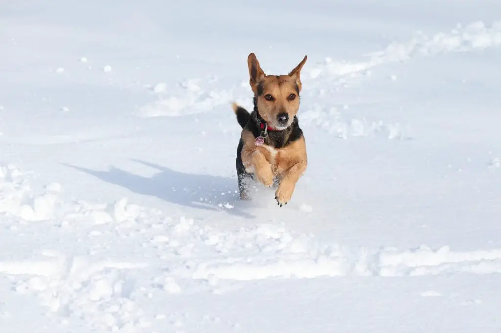 agility-synonyms-and-related-words-what-is-another-word-for-agility