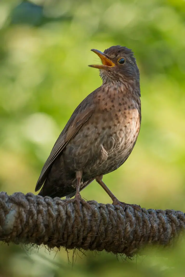 THROTTLE Synonyms and Related Words. What is Another Word for THROTTLE