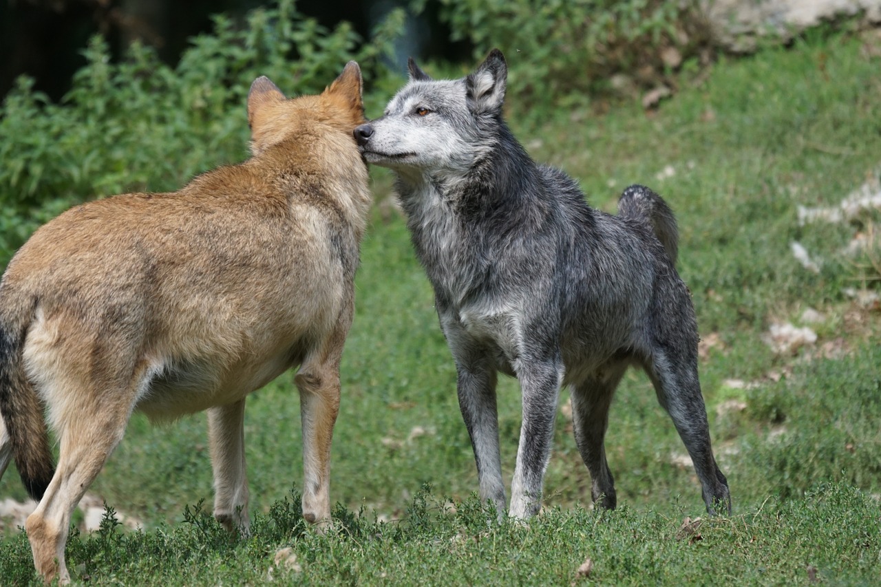 tense-synonyms-and-related-words-what-is-another-word-for-tense