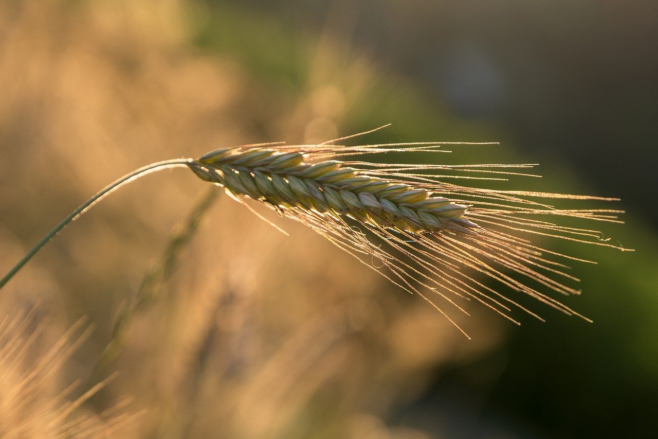 nourishment-synonyms-and-related-words-what-is-another-word-for