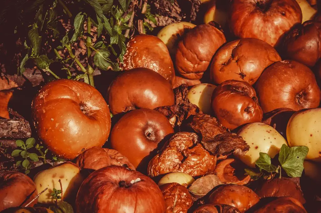 WINDFALL Synonyms and Related Words. What is Another Word for WINDFALL