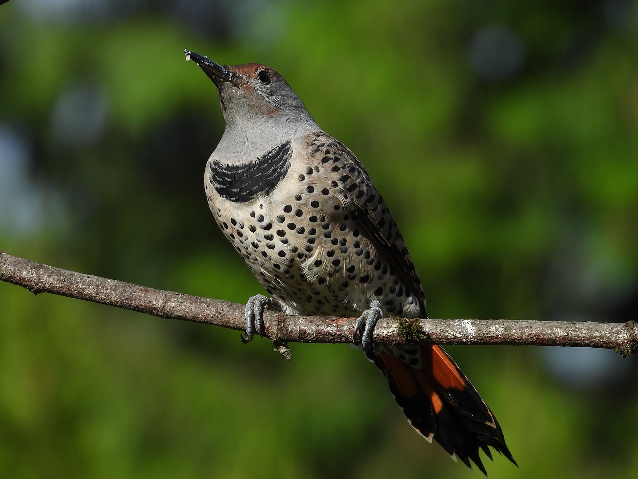 flicker-synonyms-and-related-words-what-is-another-word-for-flicker