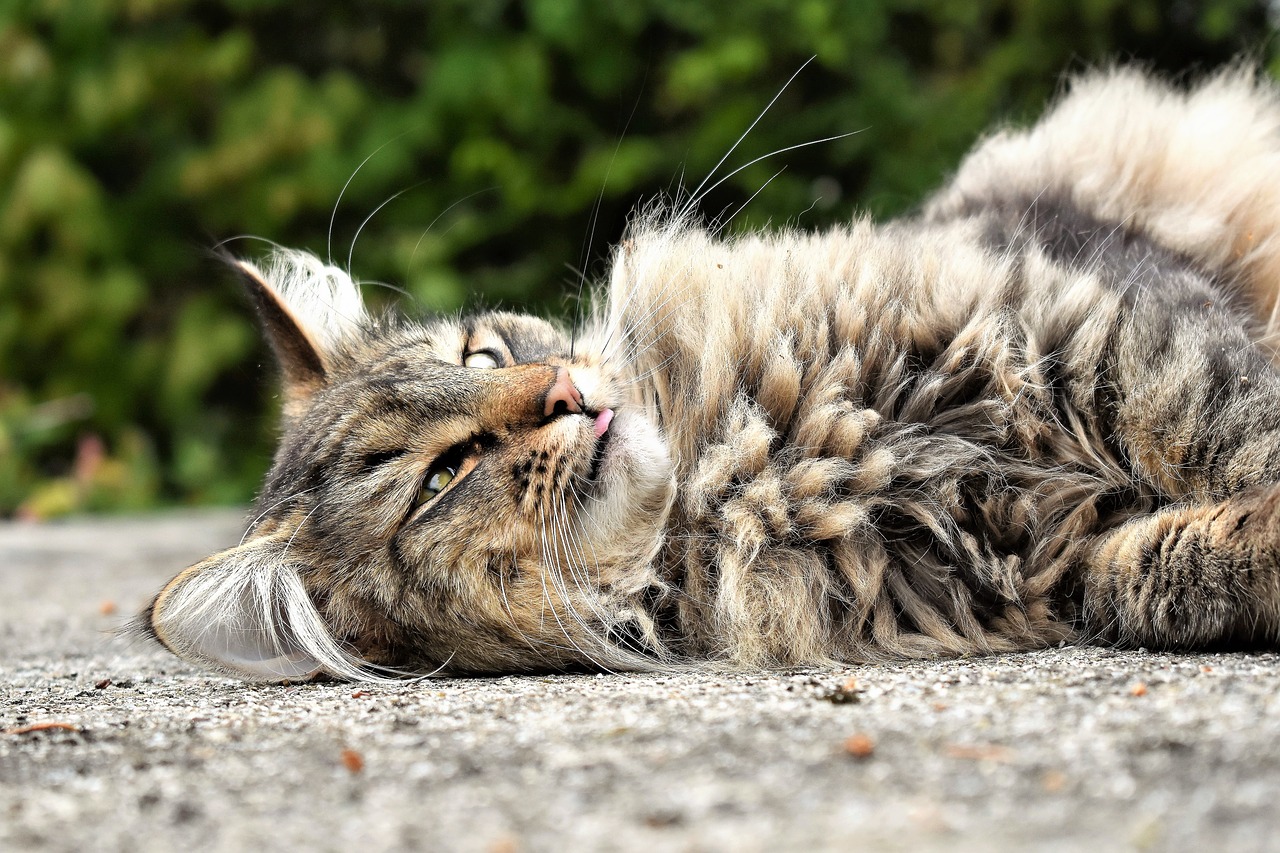 NEIGHBOR Synonyms and Related Words. What is Another Word for NEIGHBOR