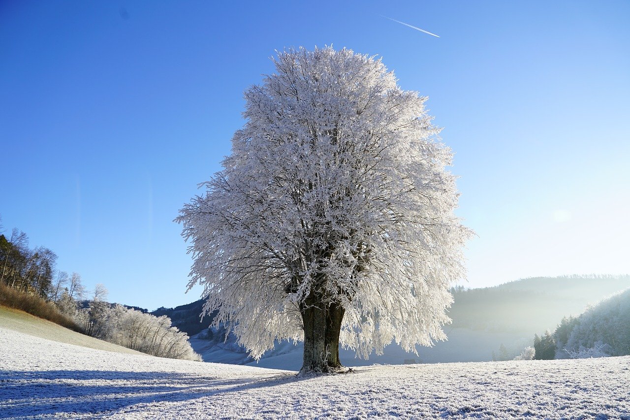 What Is A Another Word For Winter