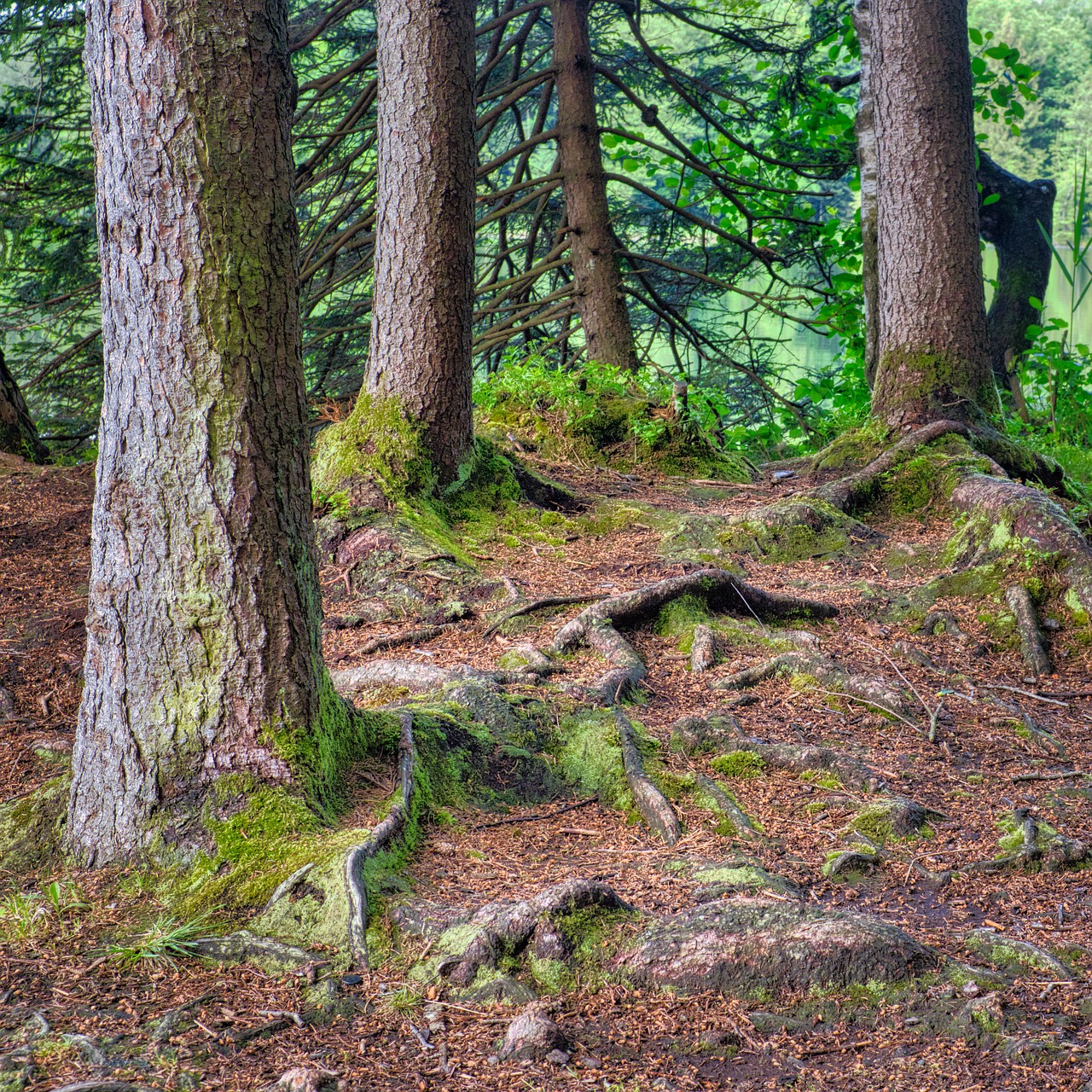 ENTANGLED Synonyms and Related Words. What is Another Word for