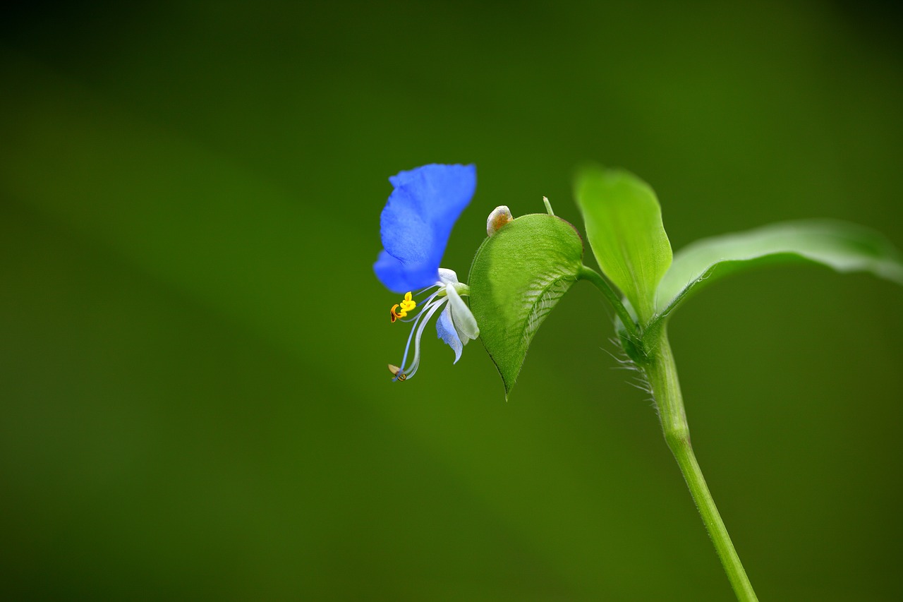 CHAIRMAN Synonyms and Related Words. What is Another Word for CHAIRMAN