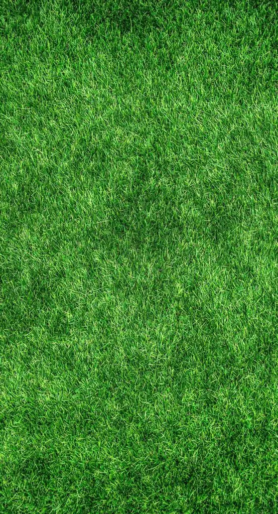 turf-synonyms-and-related-words-what-is-another-word-for-turf