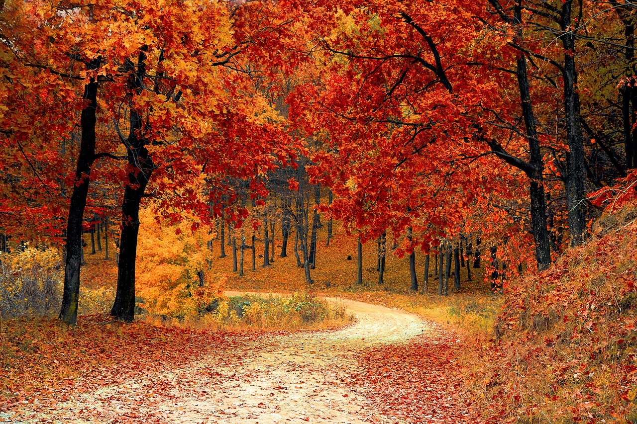 autumn-synonyms-and-related-words-what-is-another-word-for-autumn