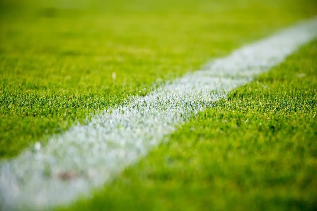 turf-synonyms-and-related-words-what-is-another-word-for-turf