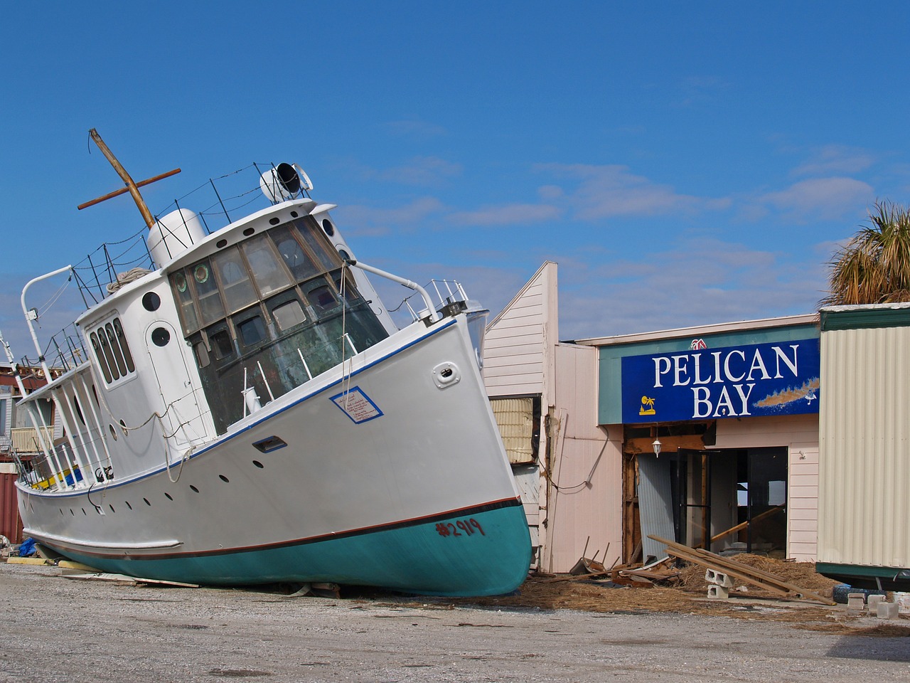 WARD Synonyms and Related Words. What is Another Word for WARD