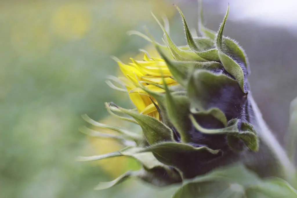 SPRINKLE Synonyms and Related Words. What is Another Word for SPRINKLE