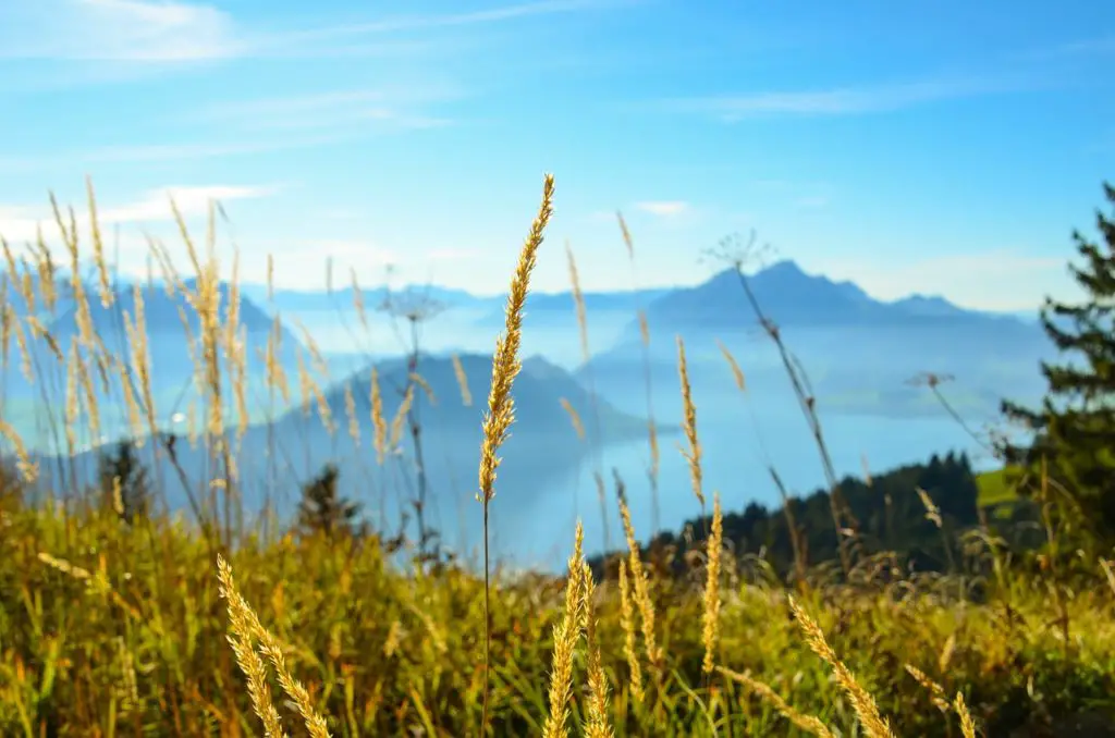 VOUCH Synonyms and Related Words. What is Another Word for VOUCH