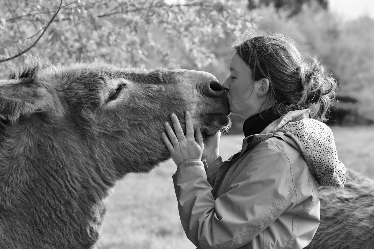 Synonyms and Related Words. What is Another Word for