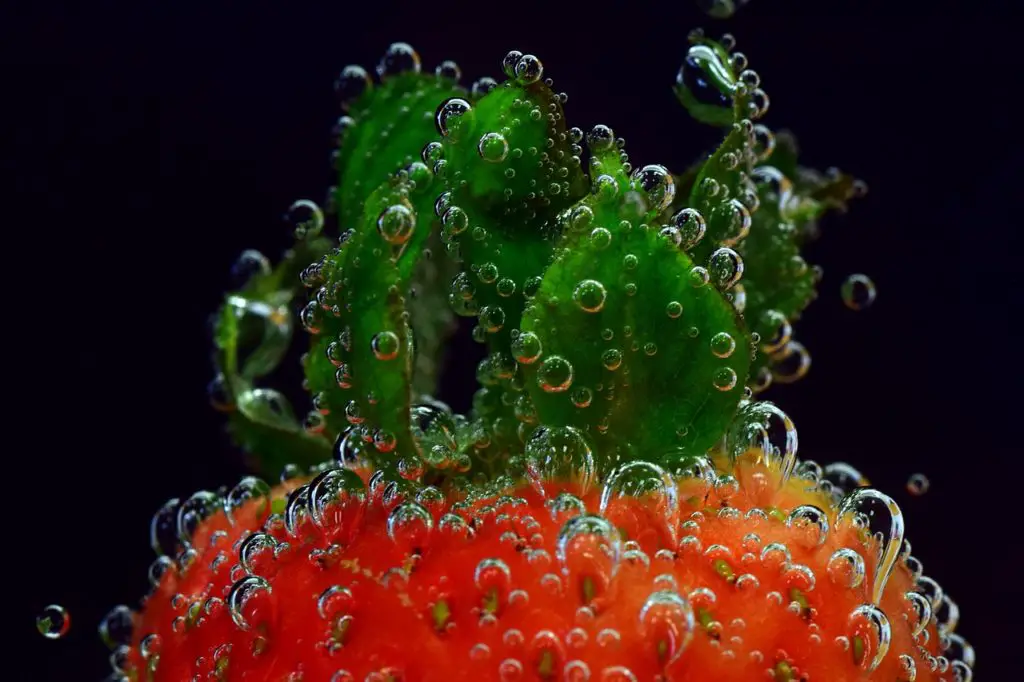 BLUBBER Synonyms and Related Words. What is Another Word for BLUBBER