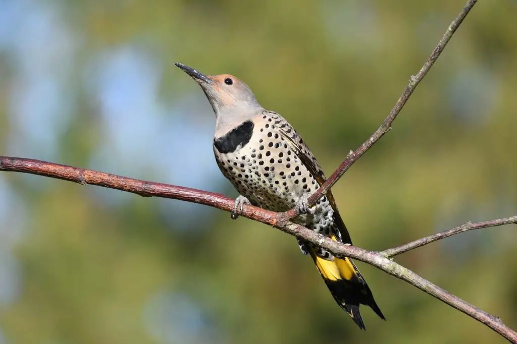 flicker-synonyms-and-related-words-what-is-another-word-for-flicker