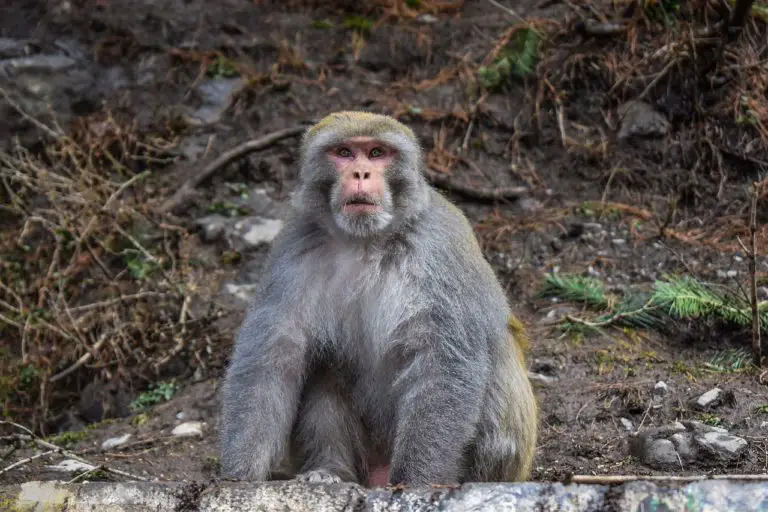 ASTONISHING Synonyms and Related Words. What is Another Word for