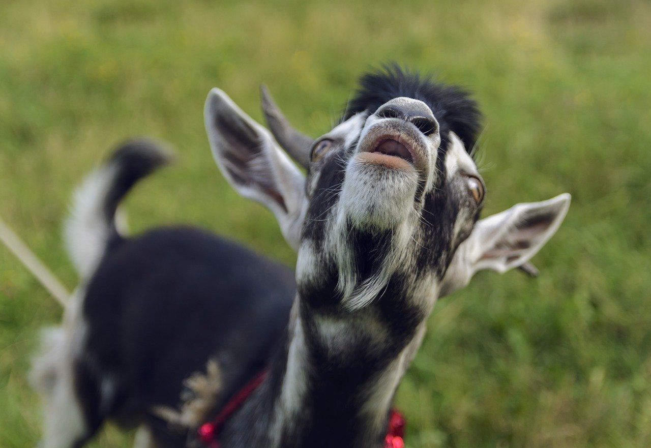 RELIES Synonyms and Related Words. What is Another Word for RELIES