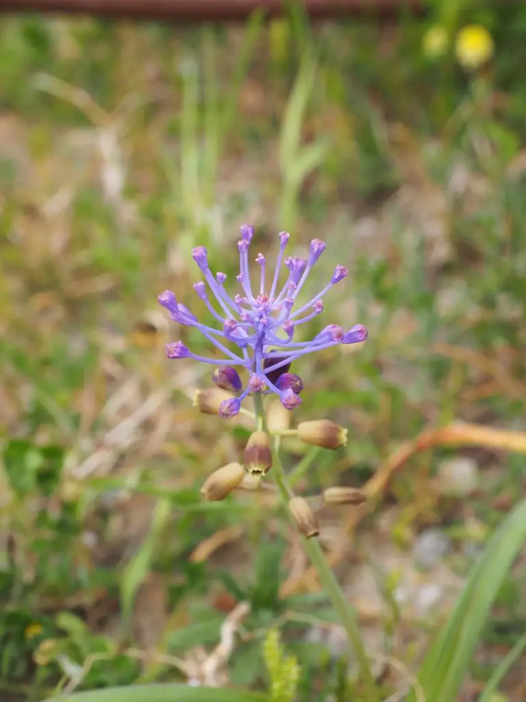 TAPER Synonyms and Related Words. What is Another Word for TAPER