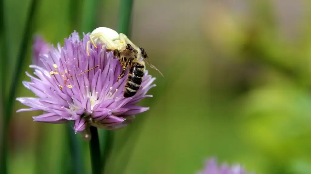 THROES Synonyms and Related Words. What is Another Word for THROES