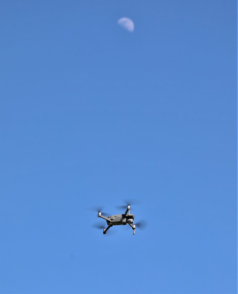 Synonyms and Related Words. What is Another Word for