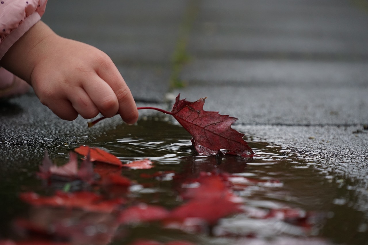 puddle-synonyms-and-related-words-what-is-another-word-for-puddle