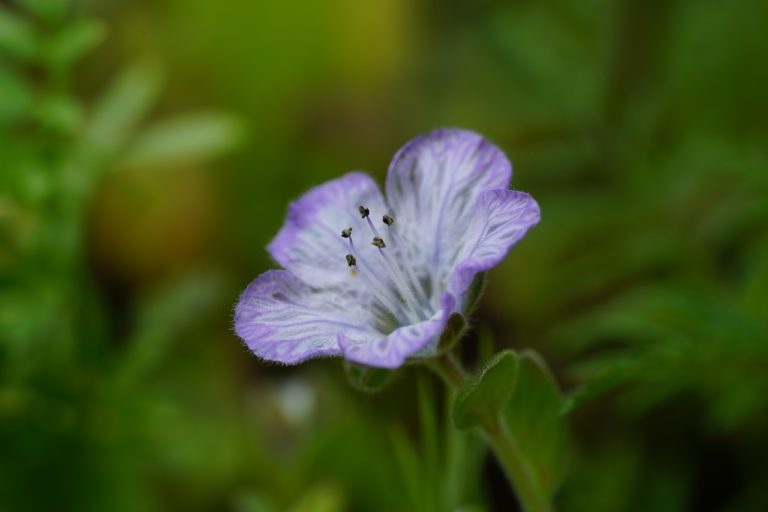 TAPER Synonyms and Related Words. What is Another Word for TAPER