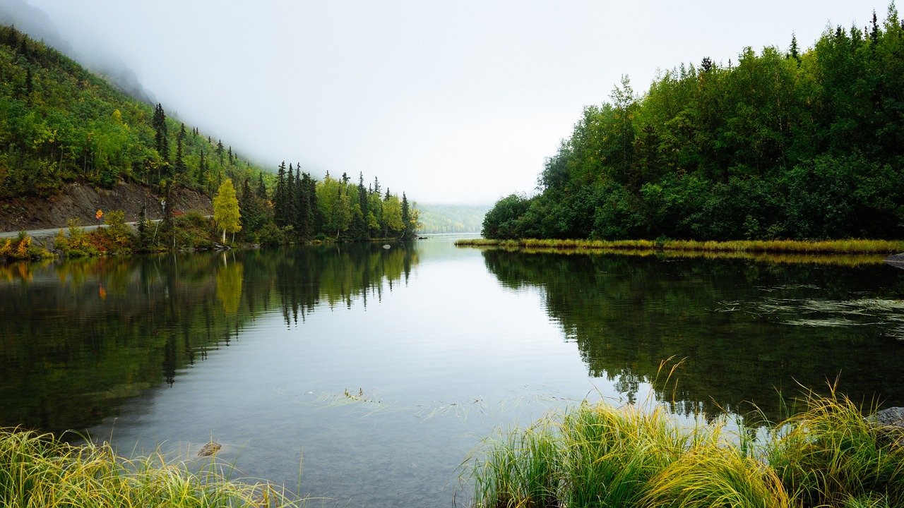 What Is Another Word For Ecological Succession