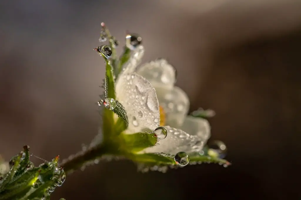 dripping-synonyms-and-related-words-what-is-another-word-for-dripping