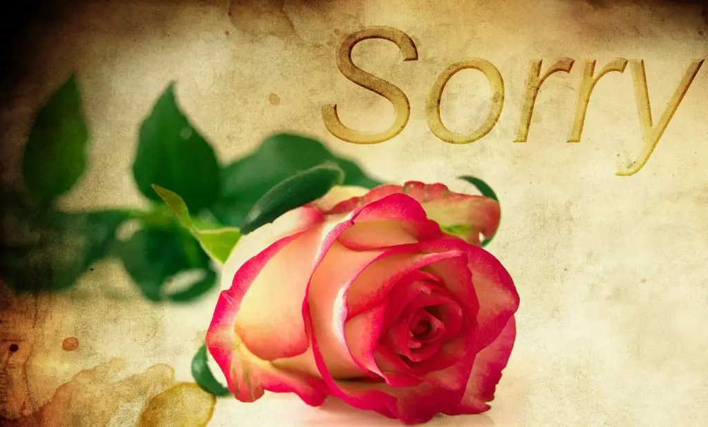 Sorry Synonyms And Related Words What Is Another Word For Sorry 