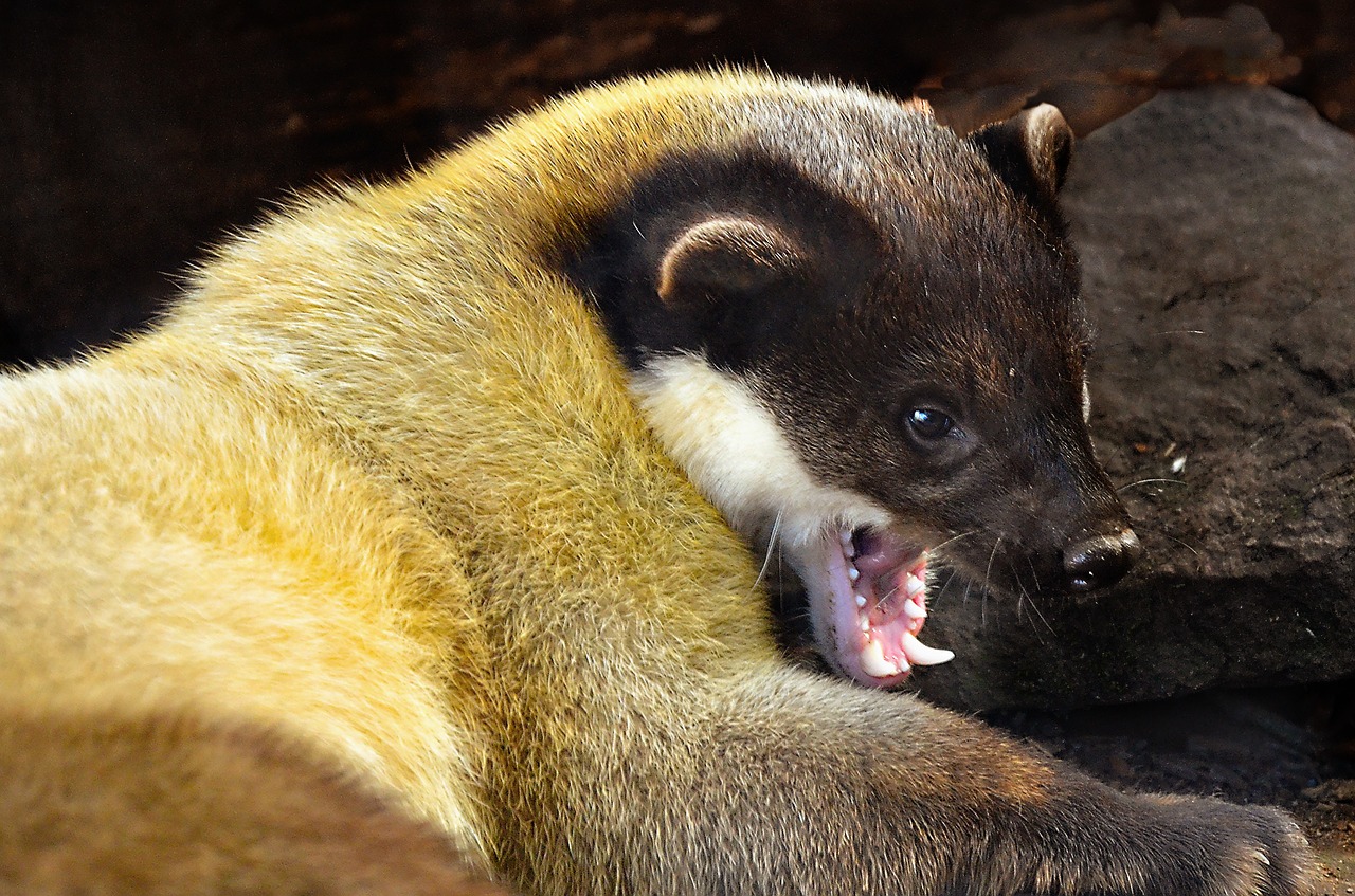 SNAPPY Synonyms and Related Words. What is Another Word for SNAPPY