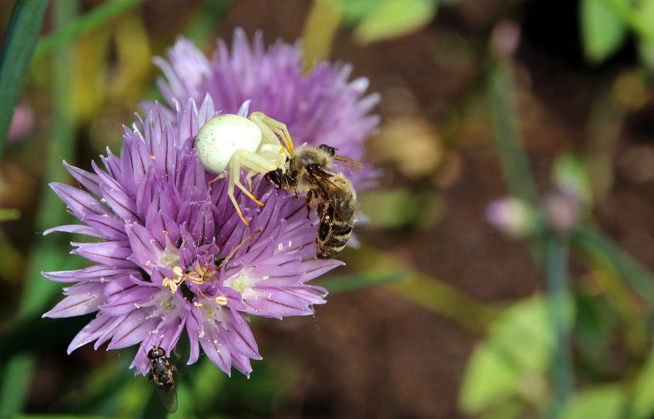 THROES Synonyms and Related Words. What is Another Word for THROES