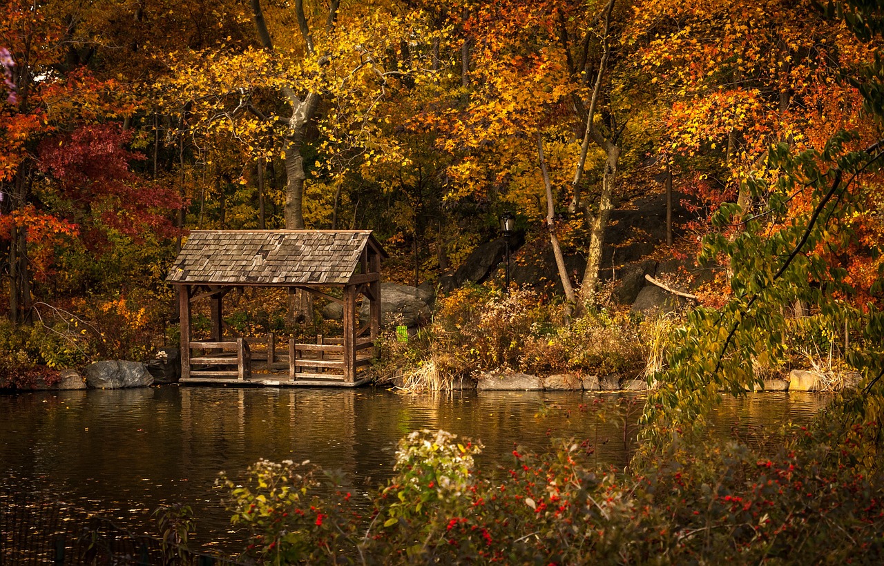 shelter-synonyms-and-related-words-what-is-another-word-for-shelter