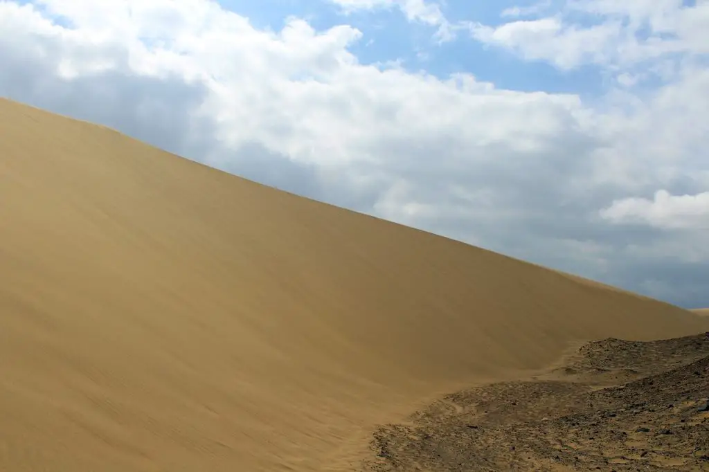 CHORUS Synonyms and Related Words. What is Another Word for CHORUS