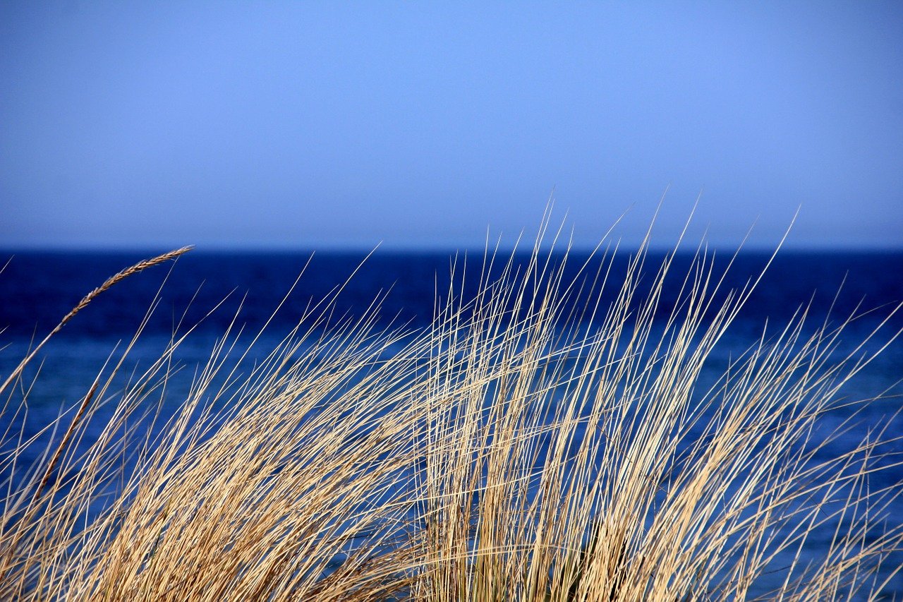 Sea Shore Synonyms In English