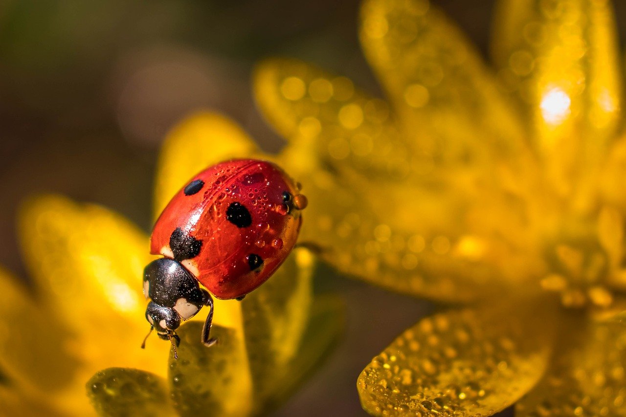 BUGGING Synonyms And Related Words What Is Another Word For BUGGING 